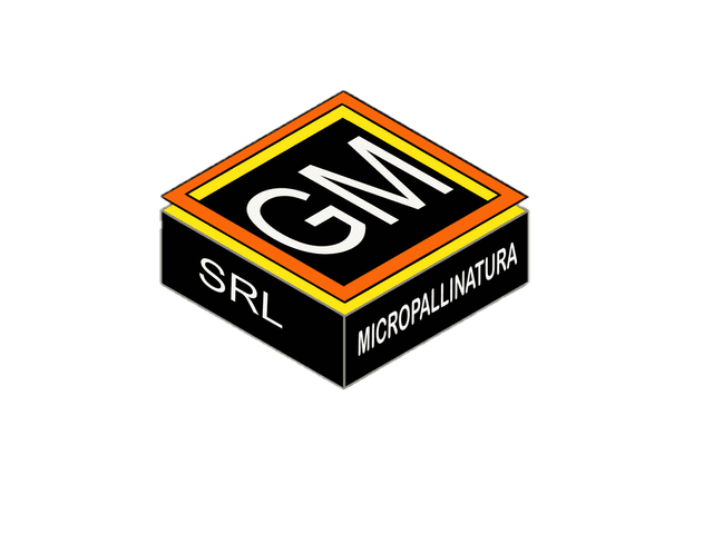 GM Micropallinatura Logo